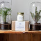 Nature’s Oasis: Terrarium & Scented Candle Gift Set