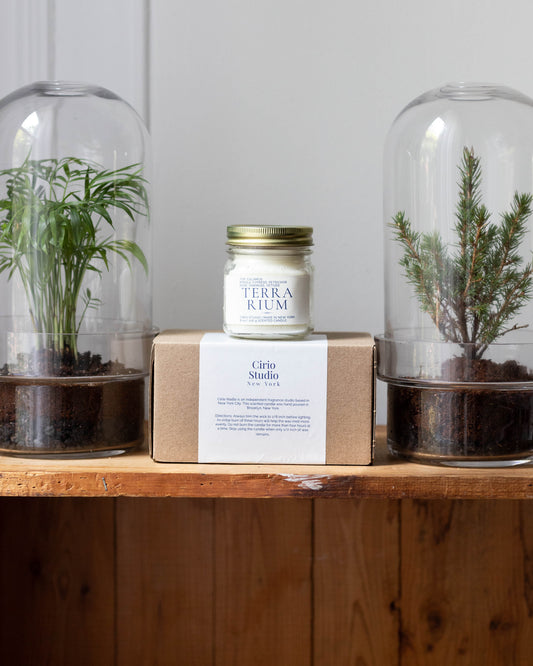 Nature’s Oasis: Terrarium & Scented Candle Gift Set