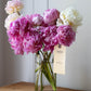 Peonies in a Vase