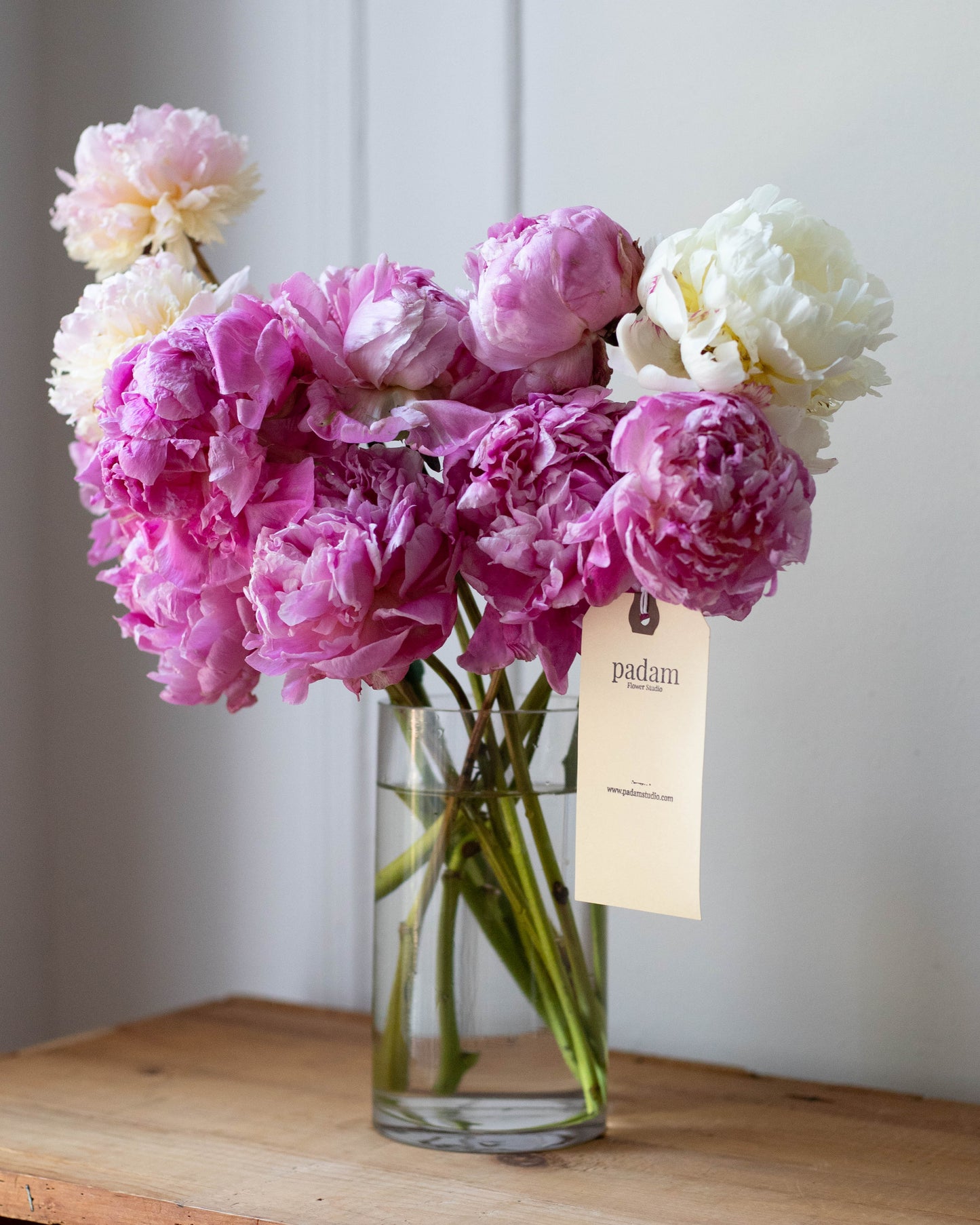 Peonies in a Vase