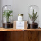 Nature’s Oasis: Terrarium & Scented Candle Gift Set