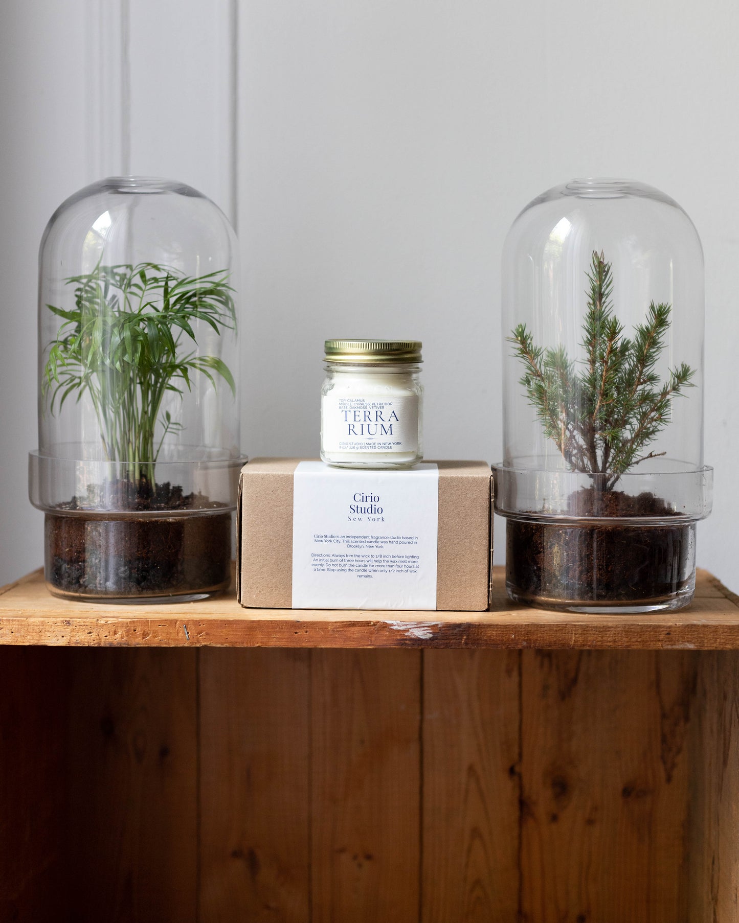 Nature’s Oasis: Terrarium & Scented Candle Gift Set