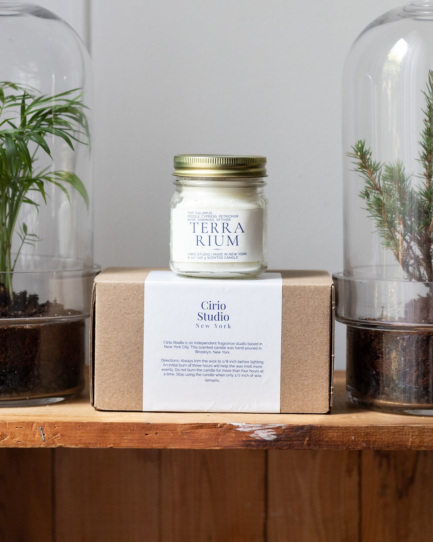 Nature’s Oasis: Terrarium & Scented Candle Gift Set