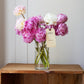 Peonies in a Vase