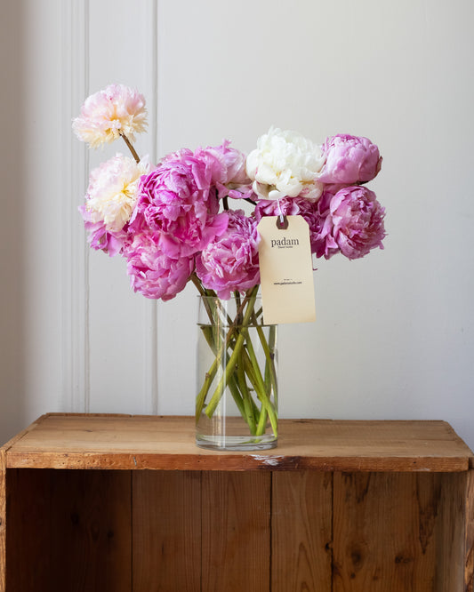 Peonies in a Vase