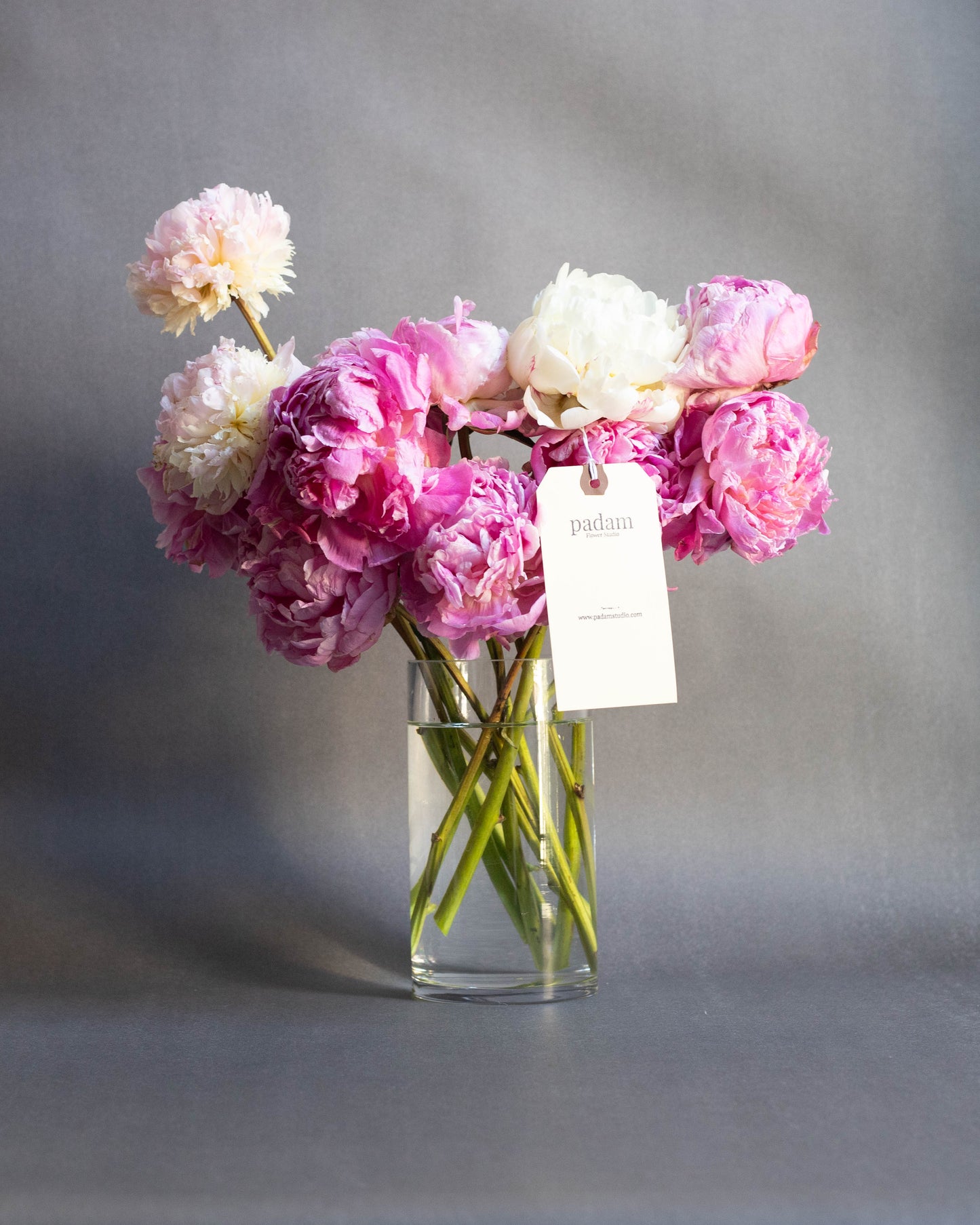 Peonies in a Vase